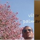 VITOR PALMARES