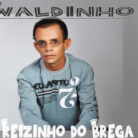 Waldinho dos Teclados