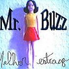 Mr.Buzz