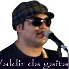 valdir da gaita