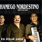 Trio Chamego Nordestino