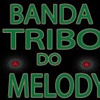 Banda Tribo do Melody