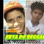 Banda Erva do Reggae