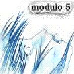 Imagem do artista modulo 5