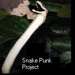 Snake Punk Project