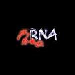 RNA