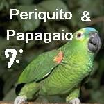 Periquito e Papagaio