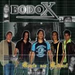 BodoX
