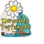 Margarida Perfumada