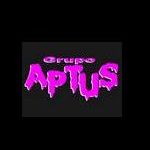 grupo aptus