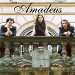 Trio Amadeus