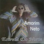 Amorim Neto