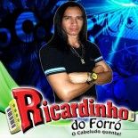 FORRÓ DO RICARDINHO