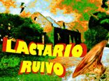 Foto de Lactario Ruivo