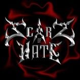 Scars of Hate