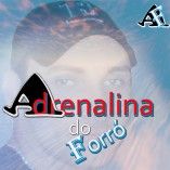 Adrenalina do Forró