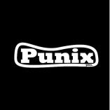 Punix