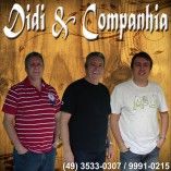 Grupo Didi e Companhia