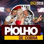 PIOLHO DE COBRA