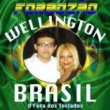 wellington brasil o fera dos teclados