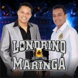 LONDRINO E MARINGA