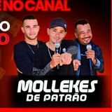 Forró Mollekes de Patrão