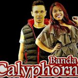 Banda Calyphornia Oficial