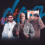 Dog Beat