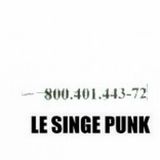 Le Singe Punk