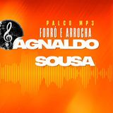 Agnaldo Sousa