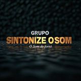 Grupo Sintonize o Som