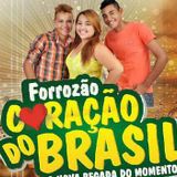 Banda Forrozao coraçao do brasil