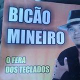 Bicão Mineiro