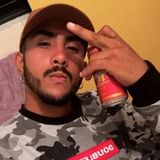 DINOE6