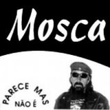 Mosca Navarro