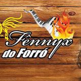 Fênnyx do Forró