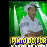 Pinto do Forró