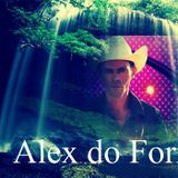 Alex  do Forró 2