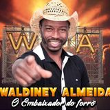 WALDNEY ALMEIDA