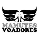 Pedro e os Mamutes Voadores