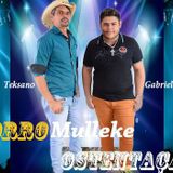 Forro Mulleke Ostentação (OFICIAL)