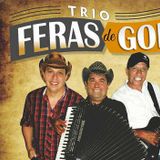 Trio Os Feras de Goiás