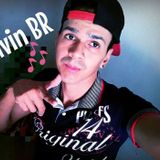 Mc Elvin Br