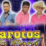 GAROTOS DO PARÁ