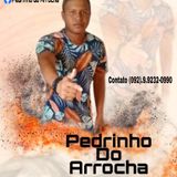 Pedrinho do Arrocha