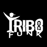 Tribo do Funk