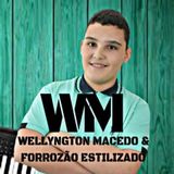 Wellyngton Macedo & Forrozão Estilizado