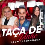 FORRO TAÇA DE VINHO