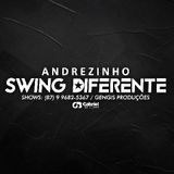Andrezinho E Swing Diferente