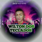 Wilton Dos Teclados